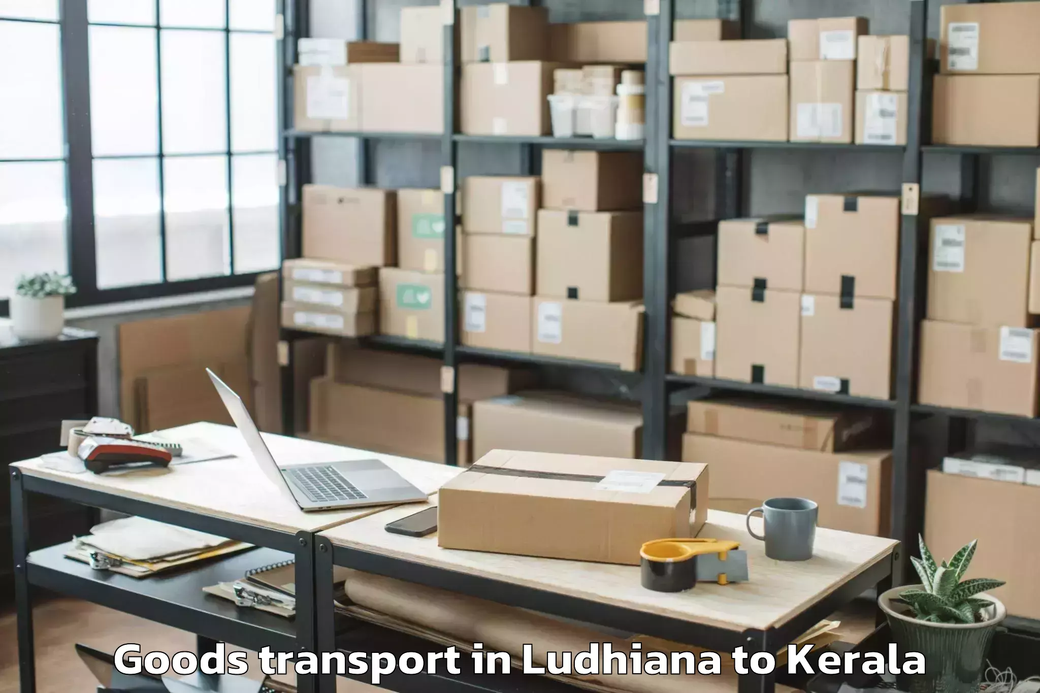 Trusted Ludhiana to Ayoor Goods Transport